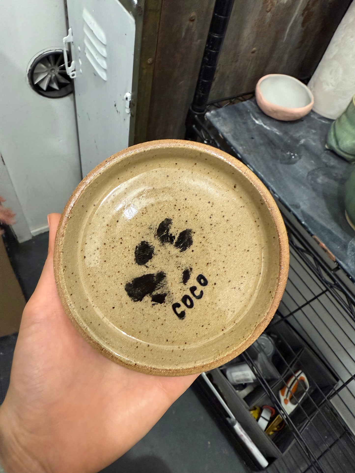 Pet Paw Print + Trinket Dish Workshop