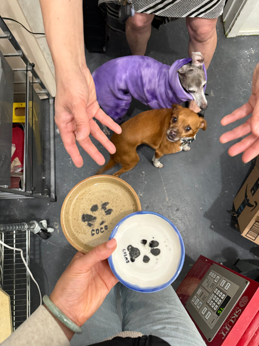 Pet Paw Print + Trinket Dish Workshop